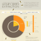 2015-046-honingbijen-en-de-uitsterving-thumbnail