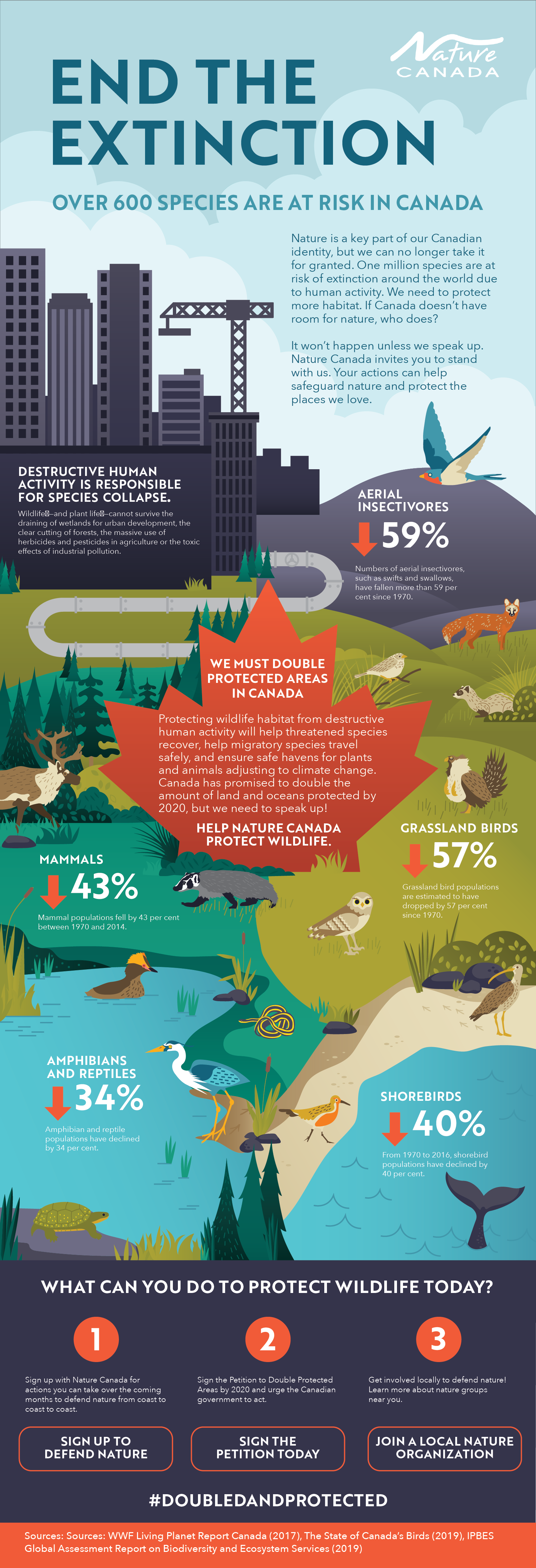 Deze afbeelding legt uit wat voor soort dieren die in Canada dreigen uit te sterven.